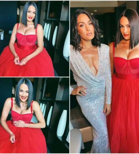 Image 12593632 from The Bella Twins: Nikki Bella &amp; Brie Bella | Garcia Twins