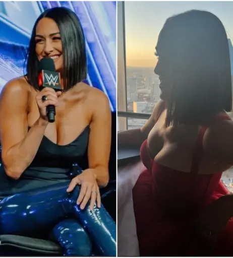 Image 12593664 from The Bella Twins: Nikki Bella &amp; Brie Bella | Garcia Twins