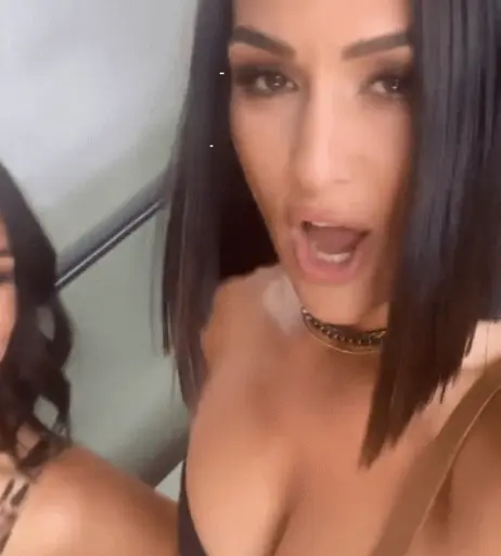 Image 12593642 from The Bella Twins: Nikki Bella &amp; Brie Bella | Garcia Twins