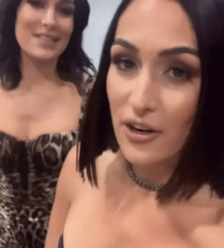 Image 12593640 from The Bella Twins: Nikki Bella &amp; Brie Bella | Garcia Twins