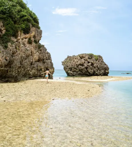 Image 12584176 from Yume Takeda | 竹田ゆめ | Mahiro Ichiki | 市来まひろ