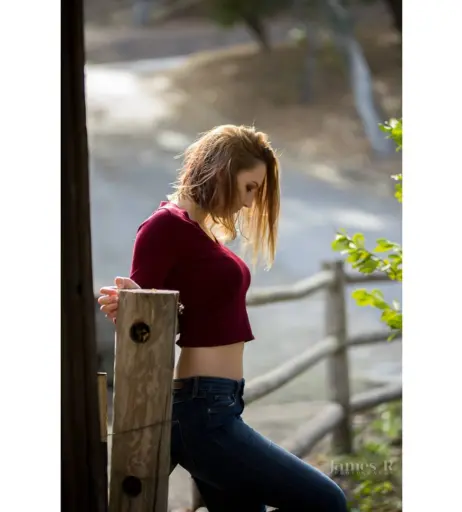 Image 12580194 from Letts React