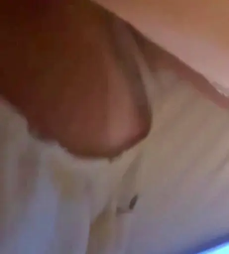 Image 12583720 from Mel Maia