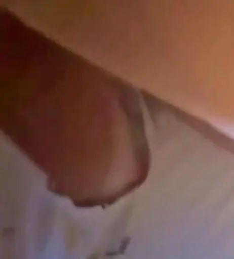 Image 12583724 from Mel Maia