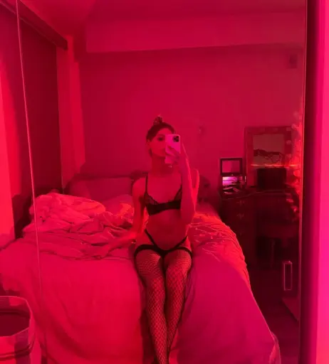 Image 12582783 from Lorenty