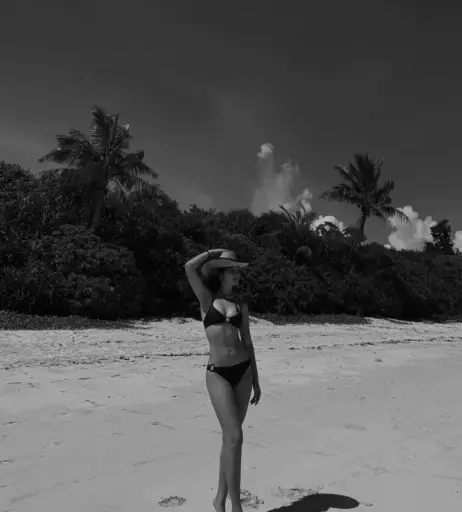 Image 12582074 from aoyamakate