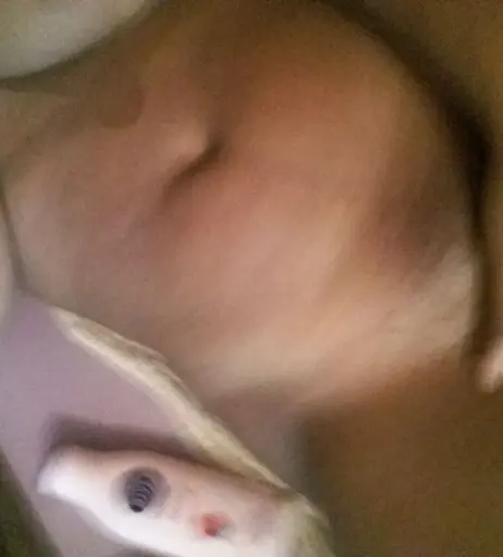 Image 12451817 from Gil / Débora