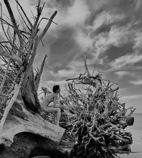 Image 12451148 from Bela Gil