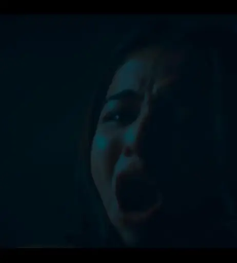 Image 12450327 from Wamiqa Gabbi