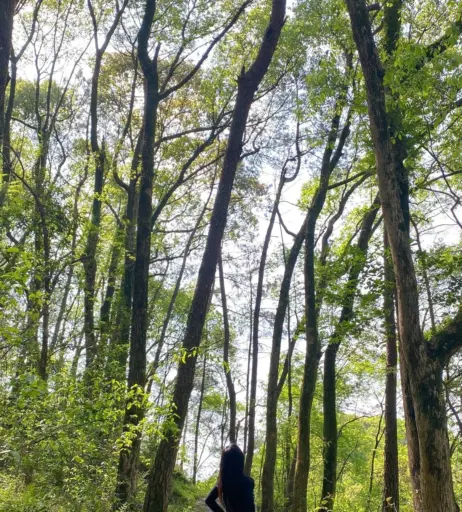 Image 12452072 from 俏妞qiaoniuTT , 俏妞qiaoniu , qiaoniuTT , qiaoniu