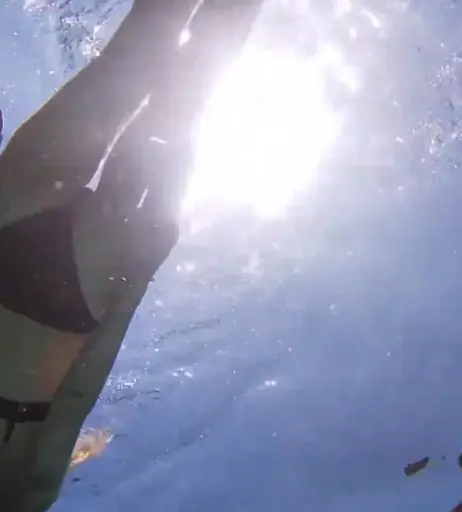 Image 12445929 from Marzia Kjellberg