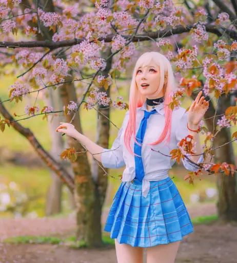 Image 12444383 from visagefox