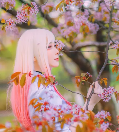 Image 12444385 from visagefox