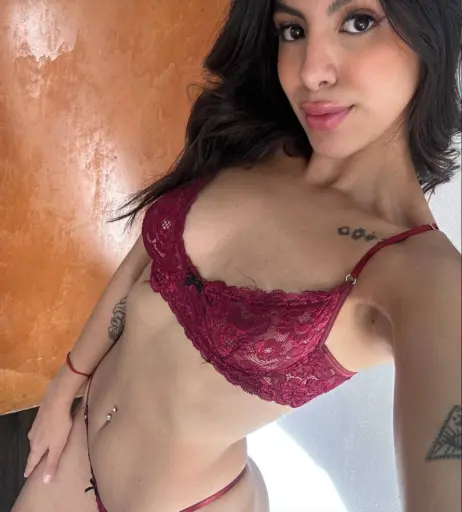 Image 12441717 from miarosetv