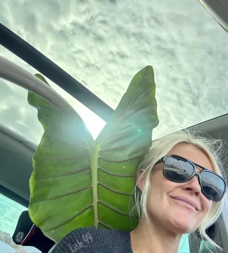 Image 12440580 from lish_99