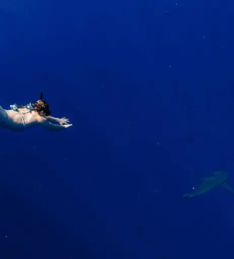 Image 12443995 from Kendall Reusing