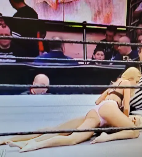 Image 12419421 from WWE Torrie Wilson