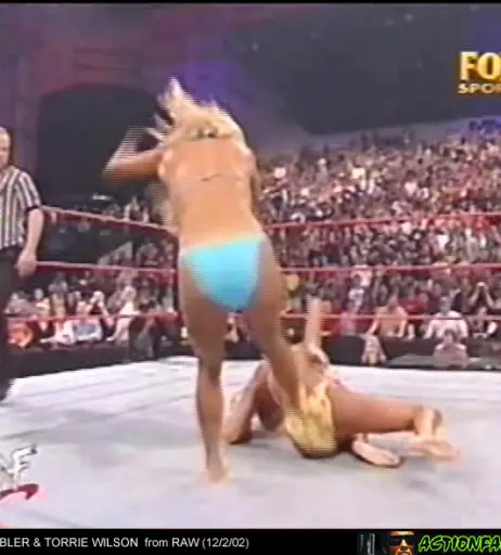 Image 12419321 from WWE Torrie Wilson