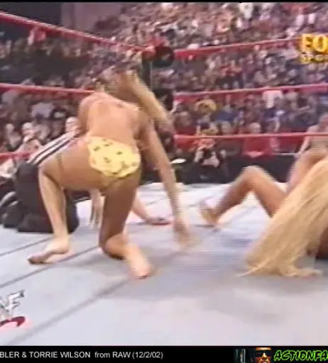 Image 12419368 from WWE Torrie Wilson