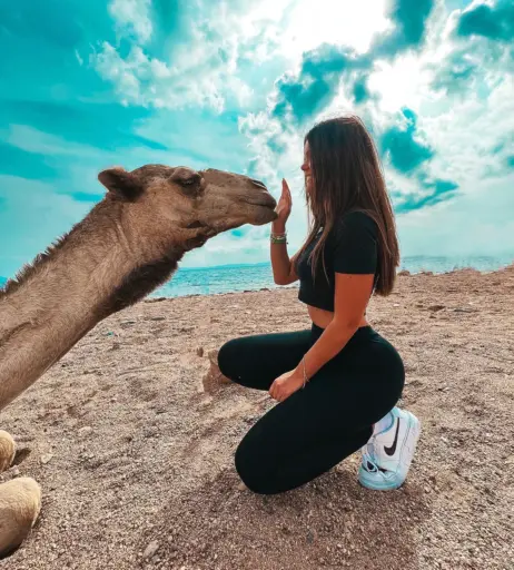 Image 12427096 from Lara Benjamina Winter