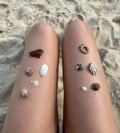 Image 12426409 from Inas Elashiry / inaselashiry