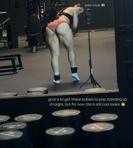 Image 12426335 from Hayleefernandez