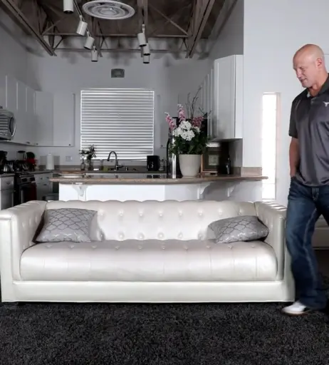 Image 12430162 from Veronica jasmine