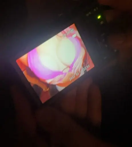 Image 12495115 from Evyn Harris / evynharris