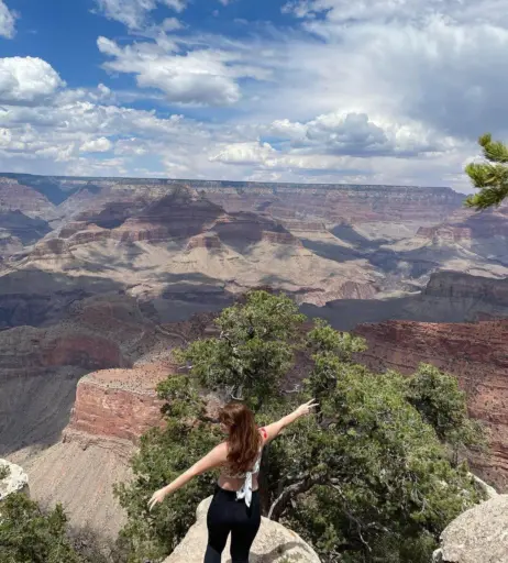 Image 12495077 from licibops