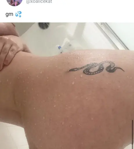 Image 12495230 from Sukashawty / Aliceklana