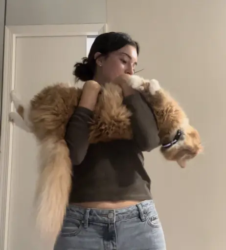 Image 12494410 from cutiegurlk8