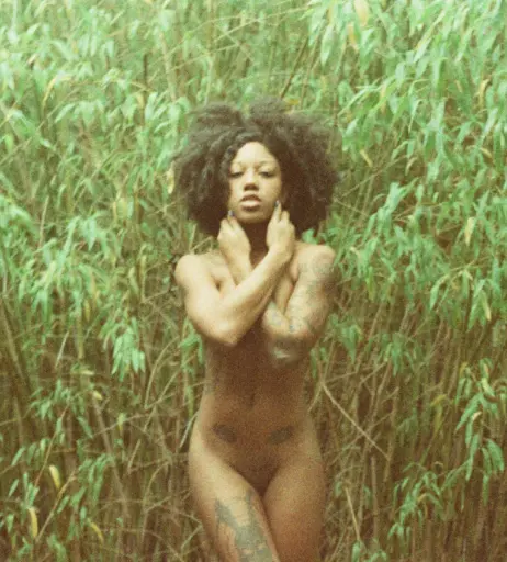 Image 12494433 from Miss Jessa Jordan