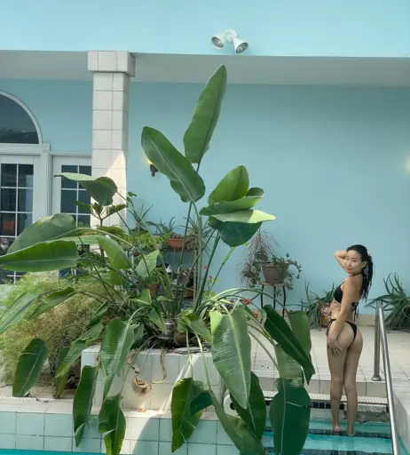 Image 12496237 from Jeannie Elise Mai | JeannieEliseMai