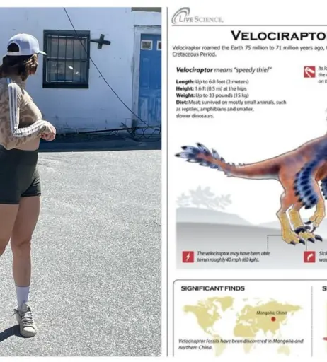 Image 12491325 from bigfanofbridges | ar_reeee