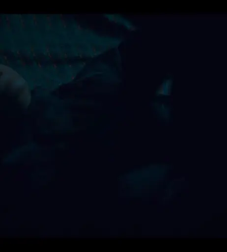 Image 12492211 from Wamiqa Gabbi