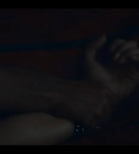 Image 12492216 from Wamiqa Gabbi