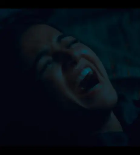 Image 12492218 from Wamiqa Gabbi