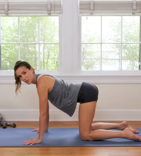 Image 12481240 from Adriene Mishler (Yoga With Adriene)