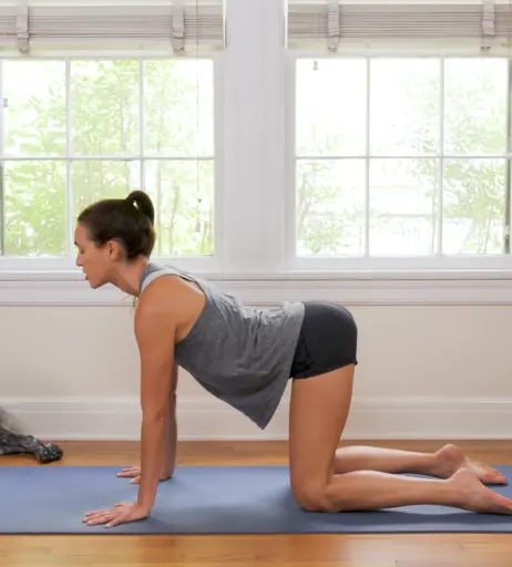 Image 12481247 from Adriene Mishler (Yoga With Adriene)