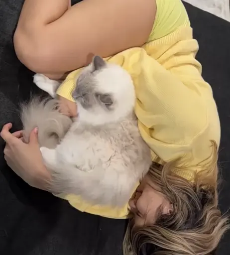 Image 12480943 from Amariah Morales