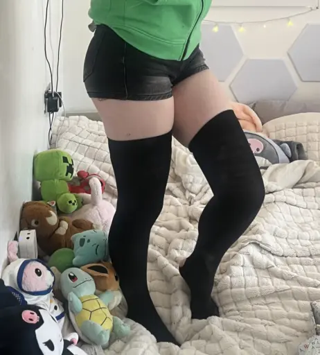 Image 12358941 from swag_charhar / Charlotte Harbour