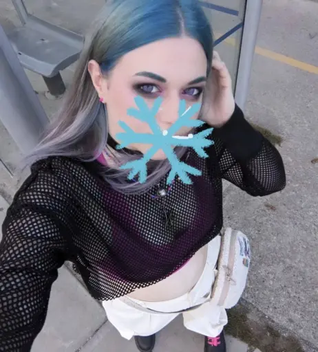 Image 12358474 from Zircon Wolfdog