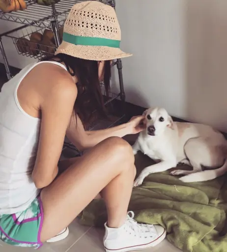 Image 12355637 from Ale Chavarria