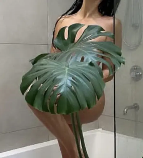 Image 12356413 from Coby Connell / The Coby Show