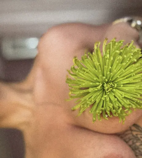 Image 12356219 from Esthetic_ua