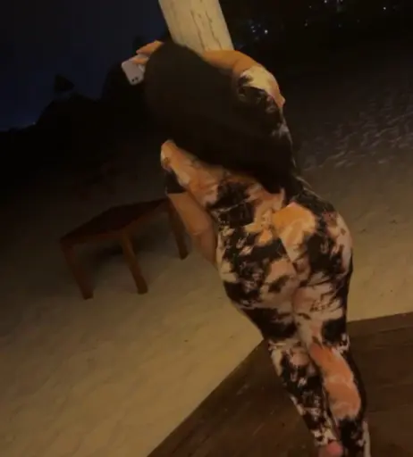 Image 12352860 from MOB WIVES