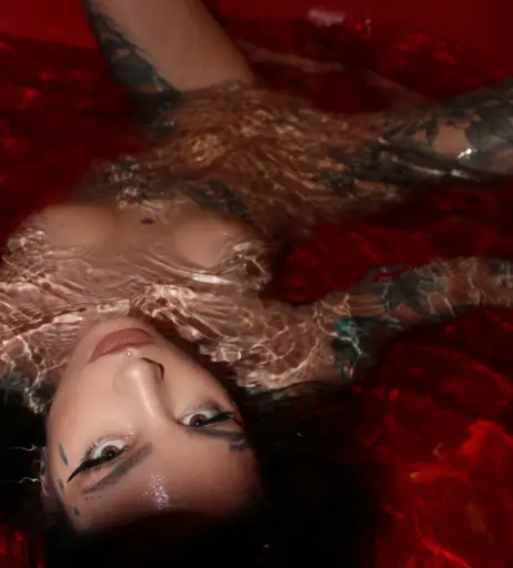 Image 12317381 from Taylor White | taylorwhitetv