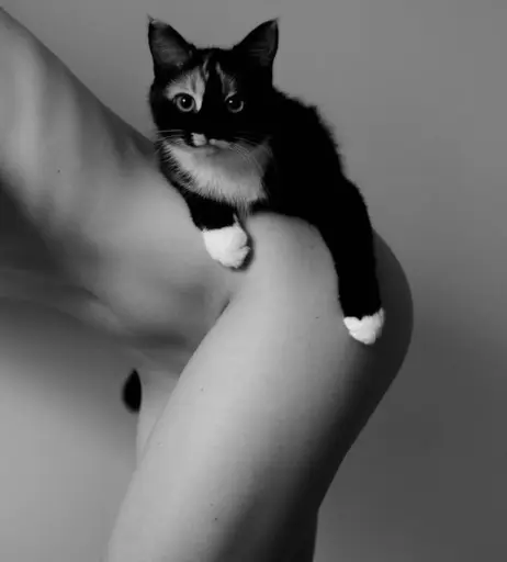 Image 12311040 from _.churilova._