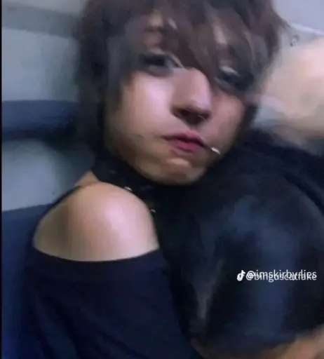 Image 12327928 from 1creppy / bingus cat / _1creepyy