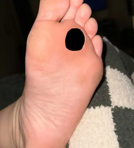 Image 12321361 from Jojo Siwa